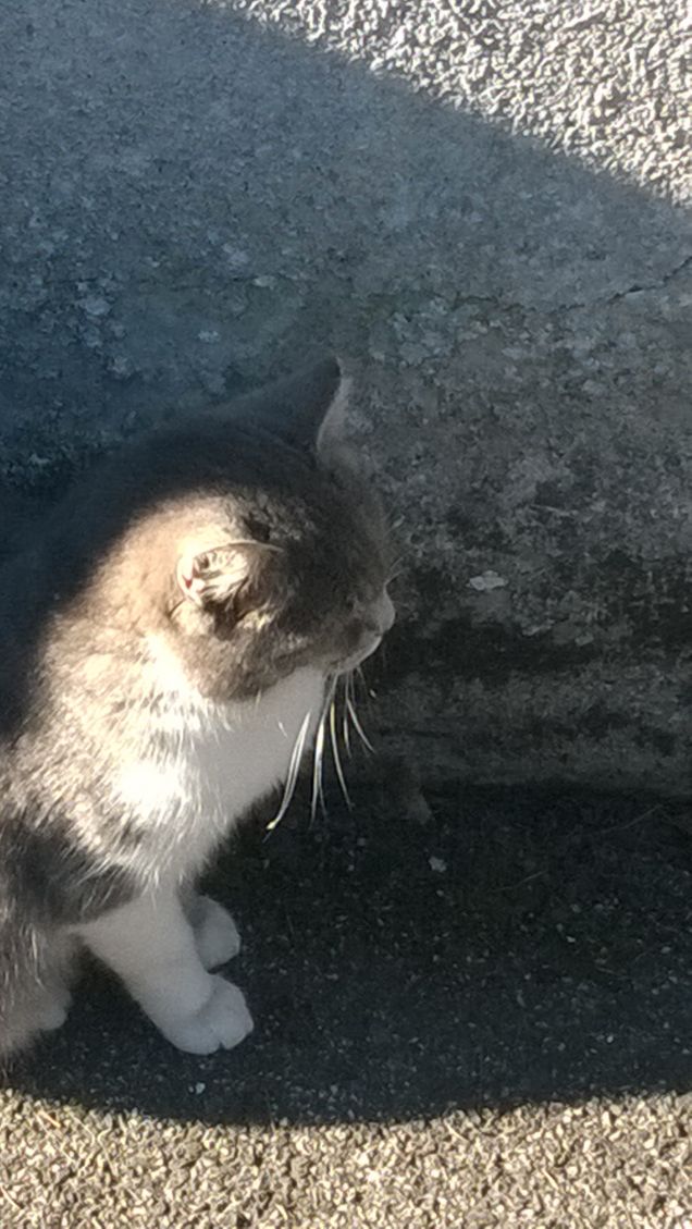 Me ne sto buona buona.