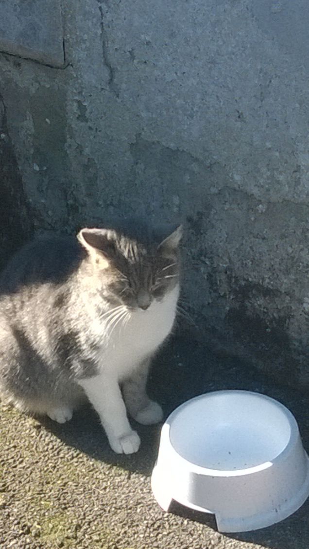 Fiduciosa che prima o poi si riempirà.