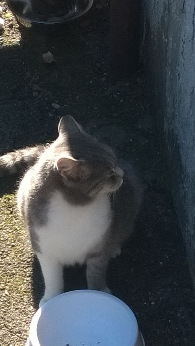 Da qui non mi muovo.