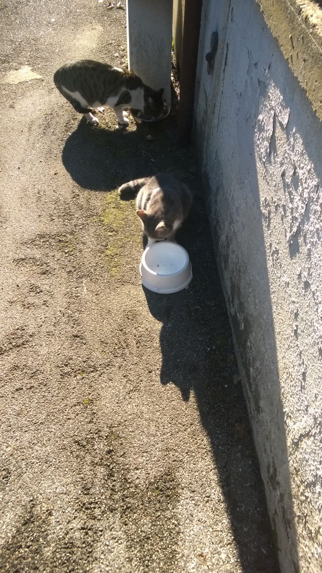 Vederli insieme è una grande gioia.