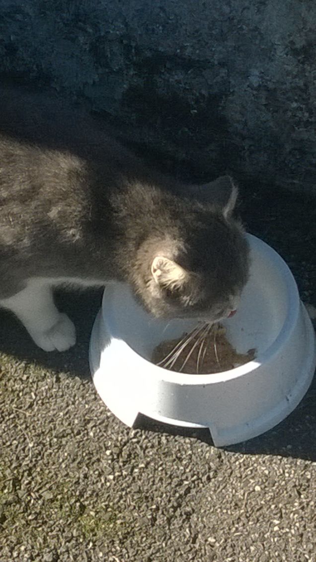 Finalmente avevo un pò di fame.