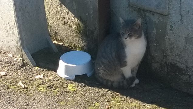 Potrei essere un opera d'arte.