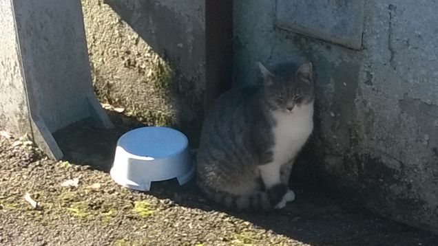 Io e la mia inseparabile ciotola.