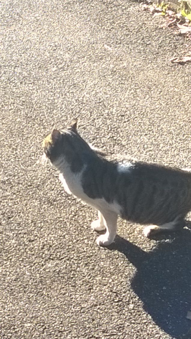 Voglia di non far niente.