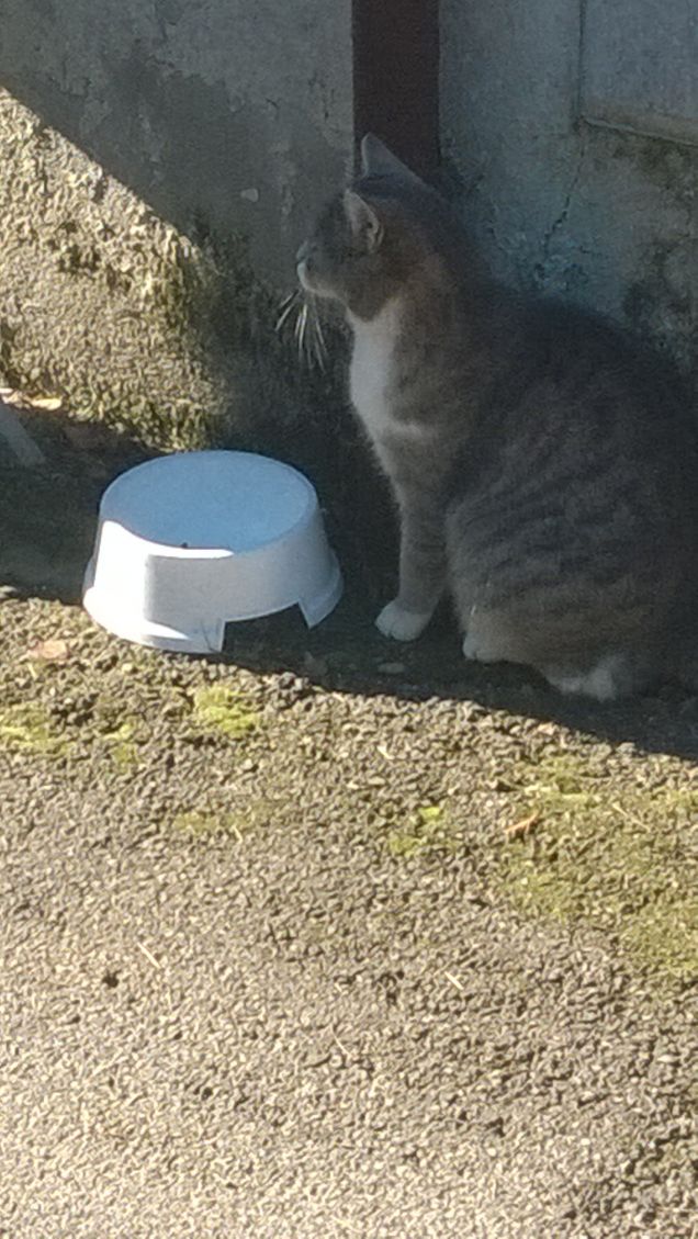 Incredibile ma vero, io sono ancora qua.