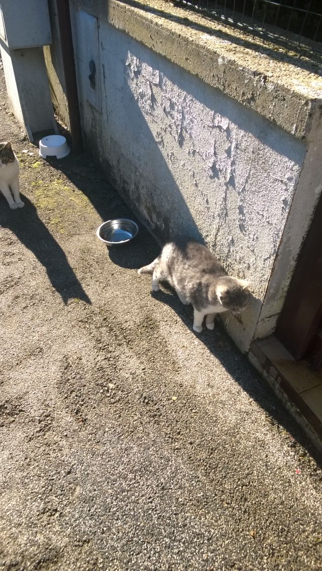 Un'altro giorno inizia.