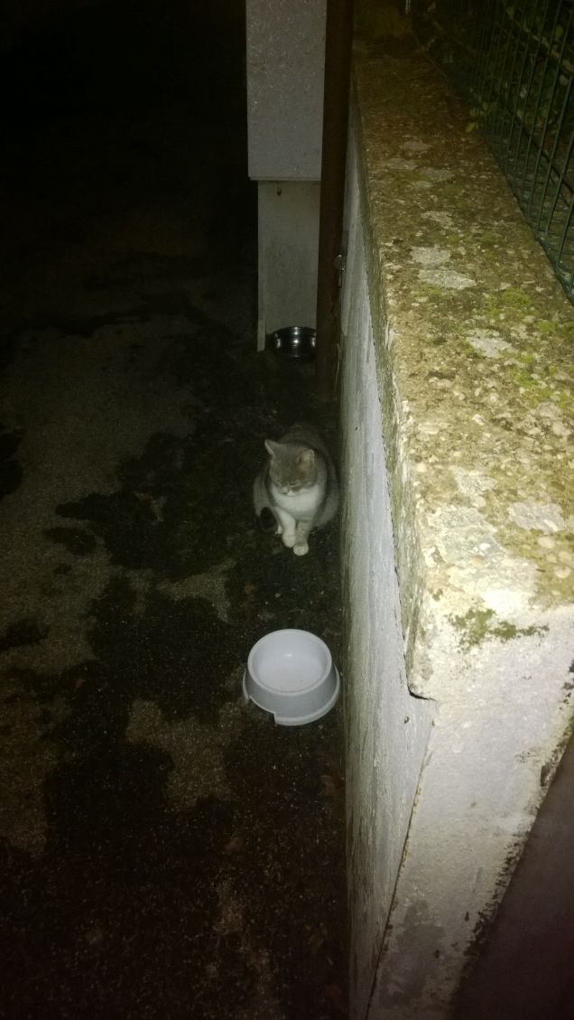 Lei mangia anche di notte.