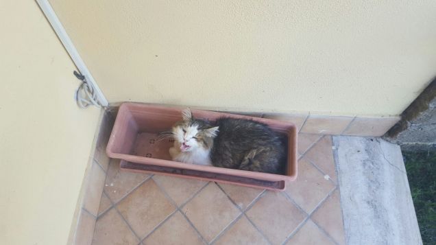 Il suo posto preferito