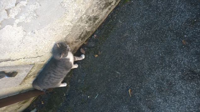 Piccola e paffutella.