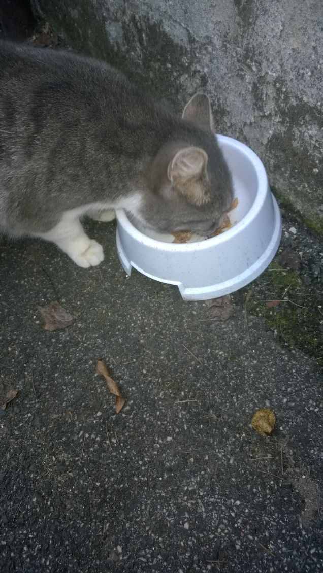 Il suo sport preferito.