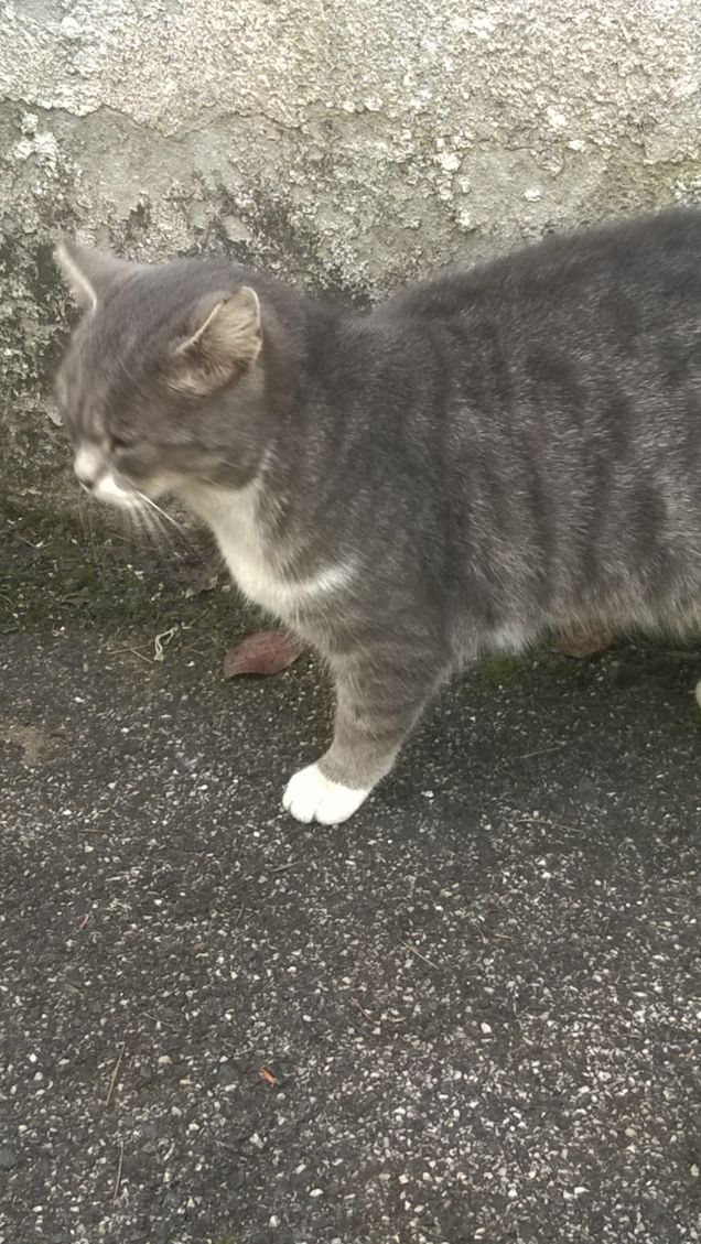 Oggi è un pò triste.