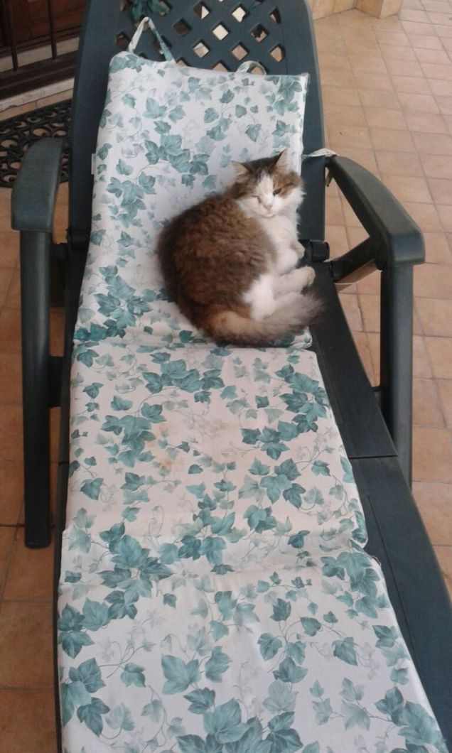 Comodamente sdraiato