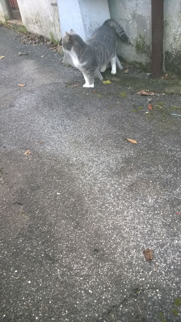 Quanto meno abbiamo, più diamo.