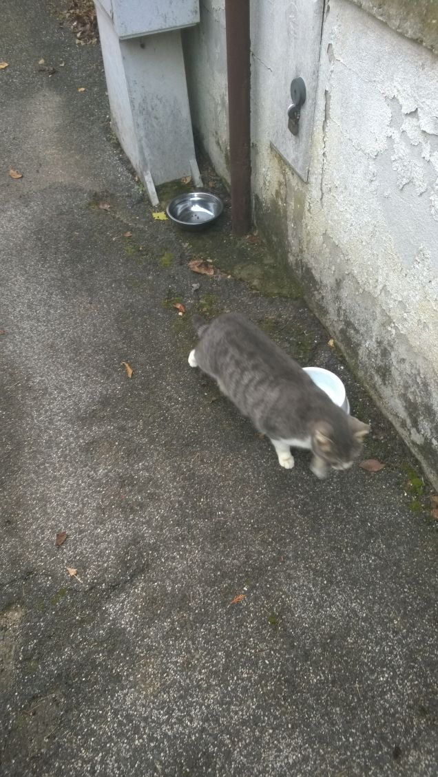 Insolitamente da sola.