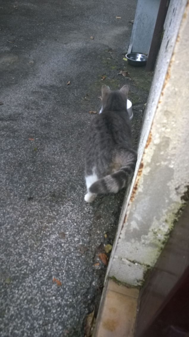 Sono rimasta da sola.