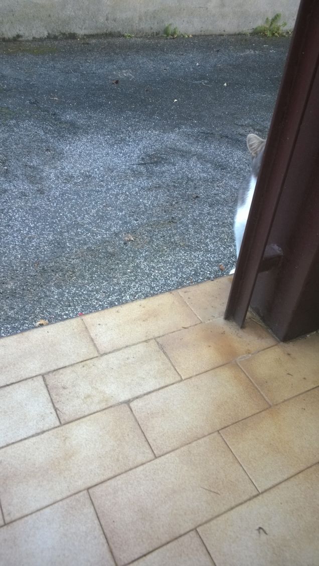 Chi si nasconde dietro quel cancello?