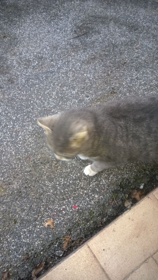 La visita più gradita in casa mia.