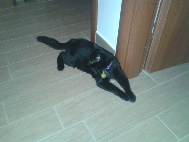 Sdraiata sul pavimento