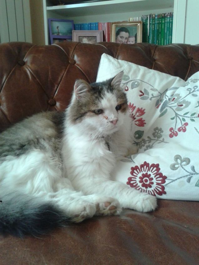 Il più bello sei tu.