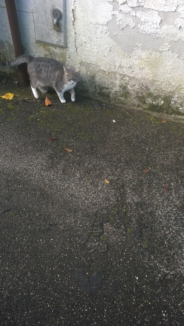 La mia piccola è rimasta da sola.