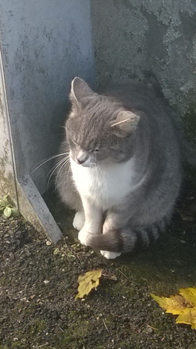 Il primo raggio di sole tutto per lei.