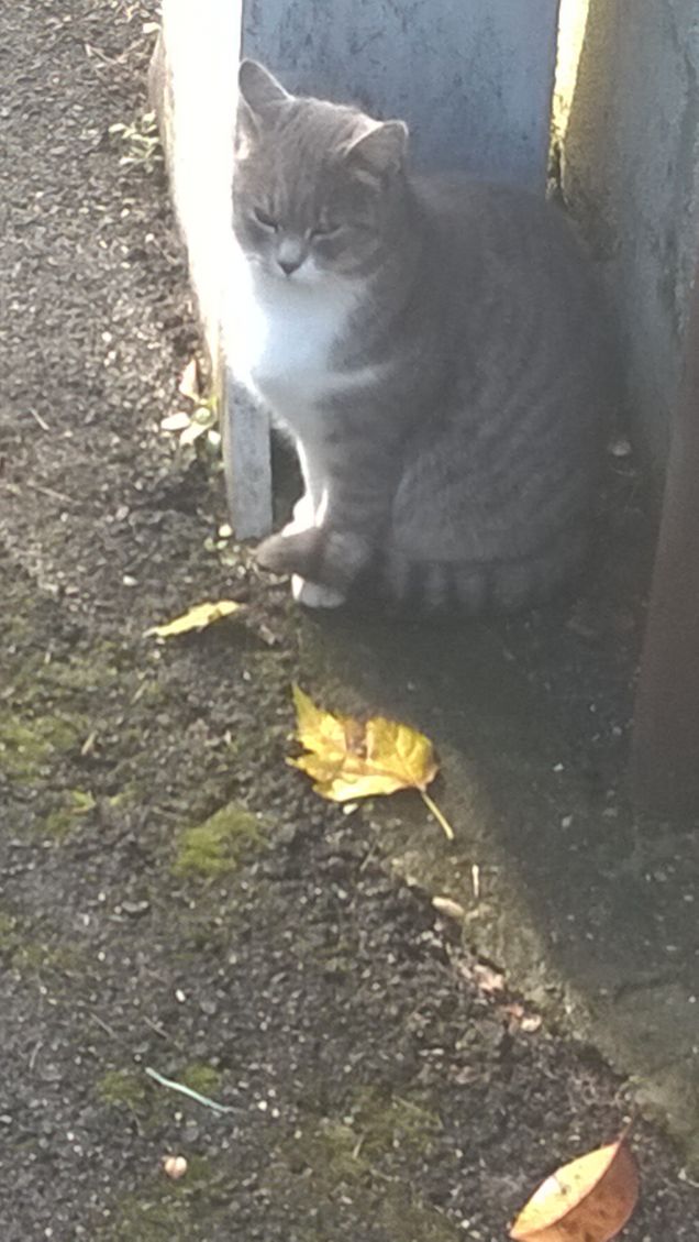 Beata tra le foglie.