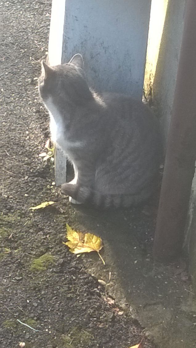 Un pò di calduccio.