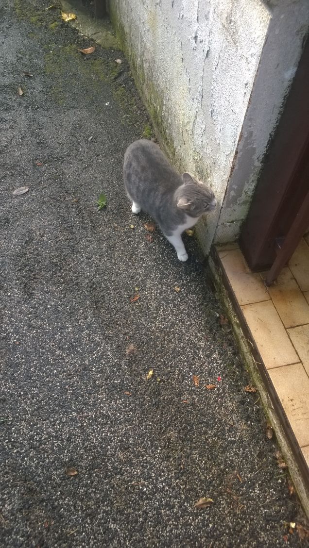 Guardate chi c'è!!!... ahahahaha