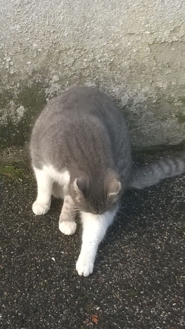 Bellissima e pulitissima.