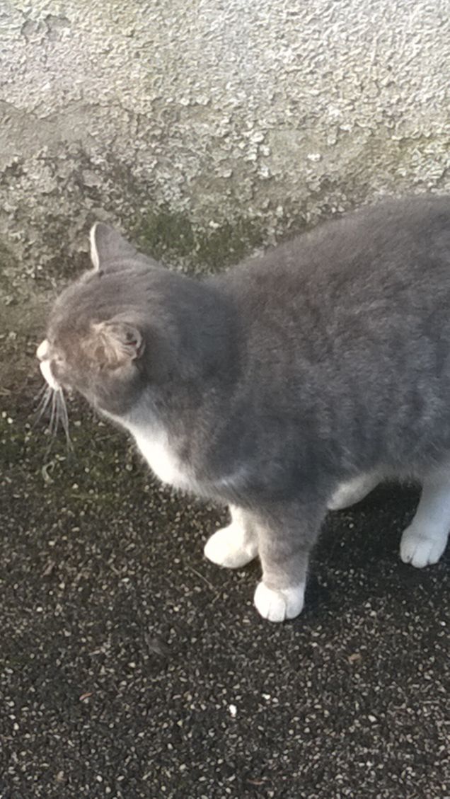 Le rivalità ravvivano l'atmosfera e migliorano anche il rendimento.