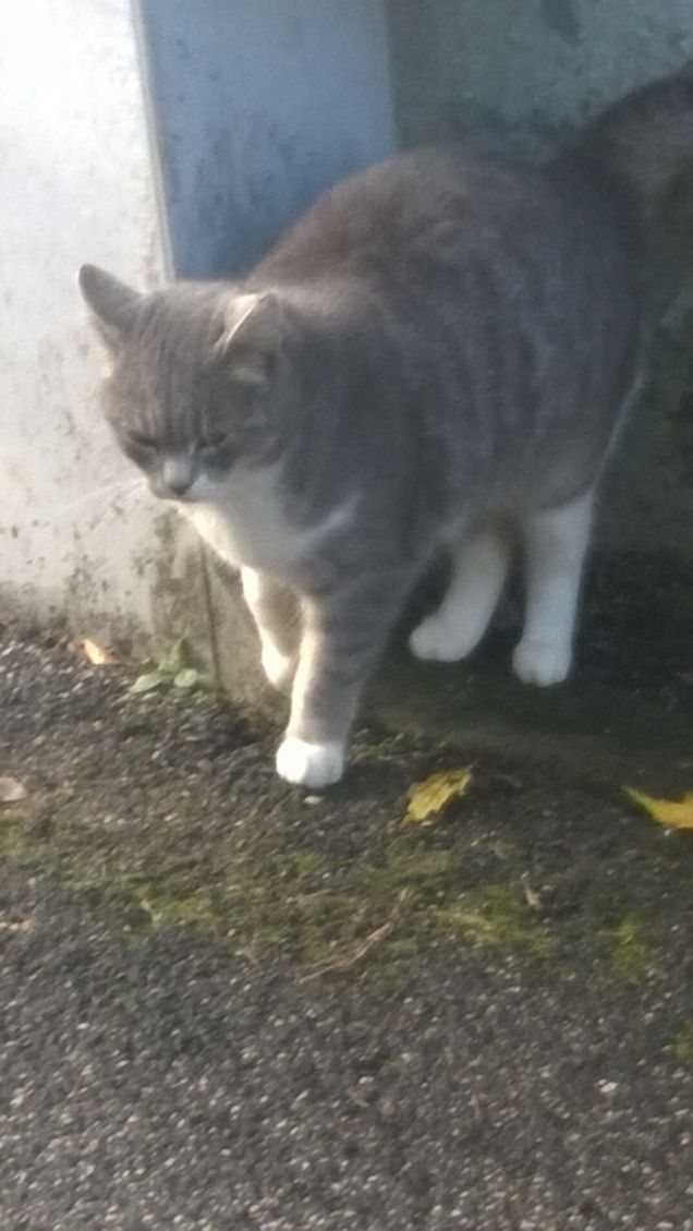 La mia vita è piena di colori, ma soprattutto di sapori.