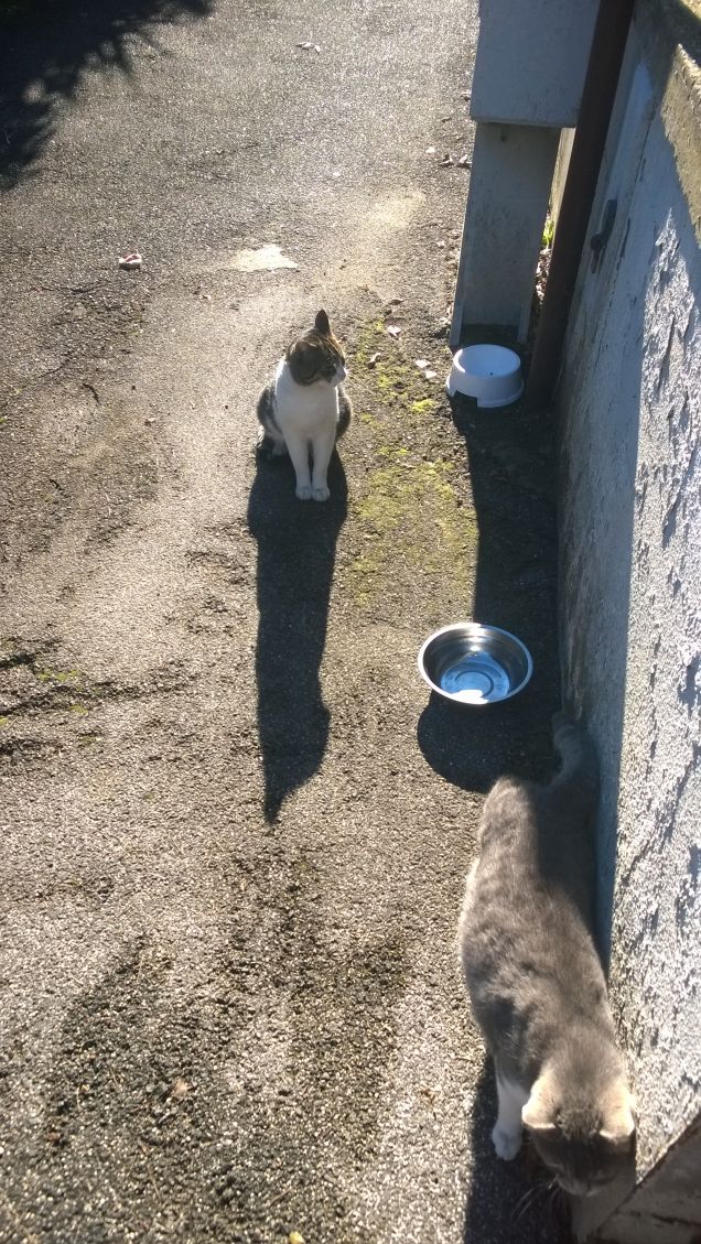 Sembra uguale...ma non lo è.