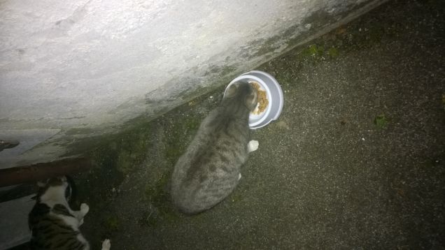 E che dobbiamo fare!!!!