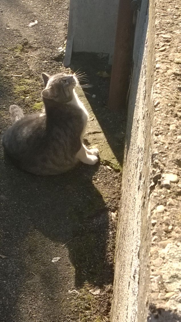 Un pò di toeletta ci vuole.