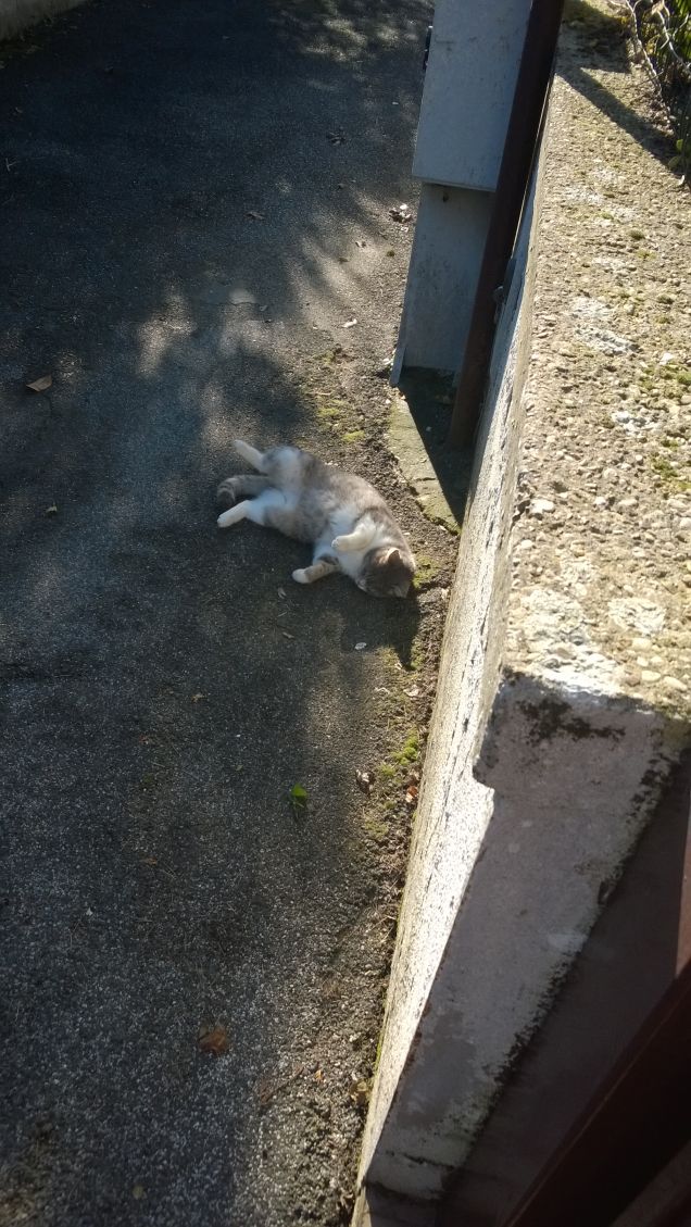 Svengo sull'asfalto.