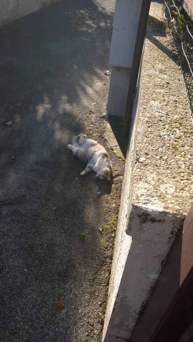 Al sole si sta bene.