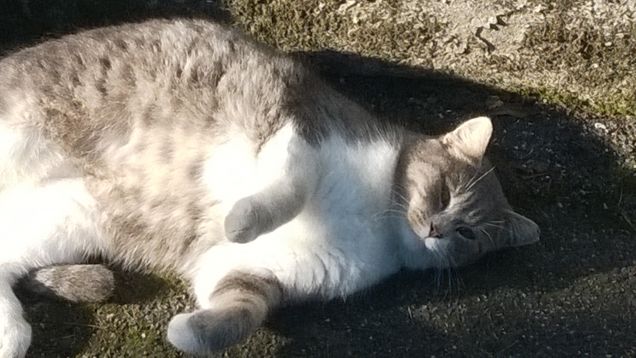 Io sono buona e giusta.