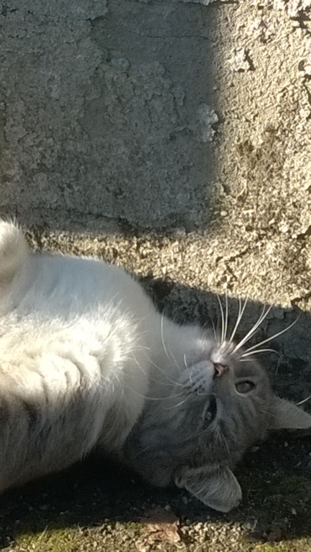 Oggi faccio la modella.