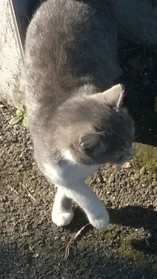 Mi muovo come una ballerina.