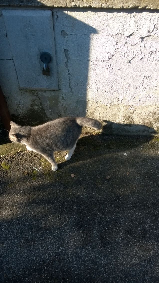 Per noi è una questione di principio.