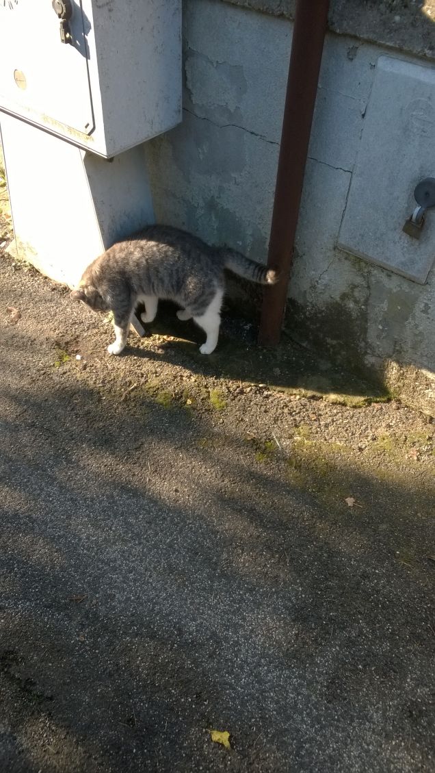 Qualcuno ci è simpatico e qualc'unaltro... NO