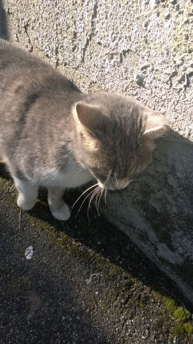 Purtroppo esiste gente cattiva.