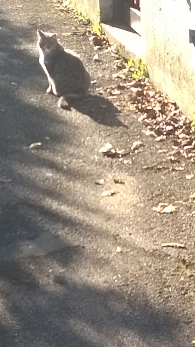 Si mantiene distante