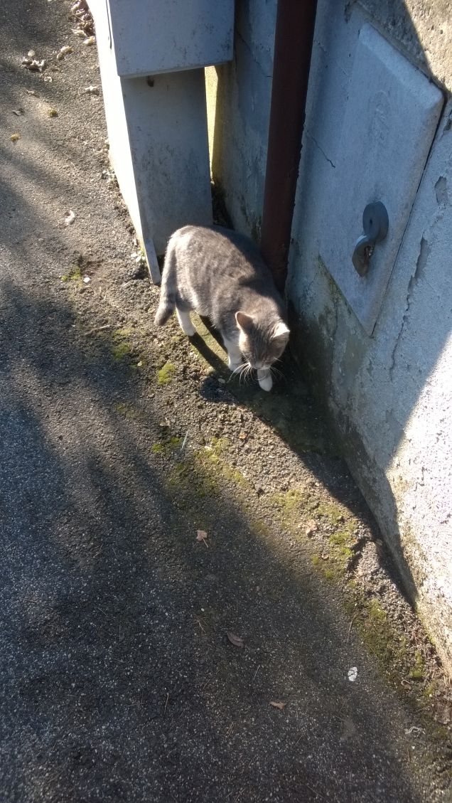 Incredibile ma vero.