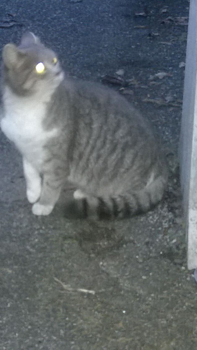 Mi brillano gli occhi.