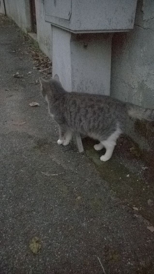 Ma un momento ferma no eh.