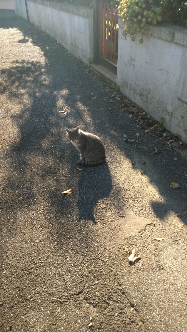 Dove non esiste il sentire dell'anima, la morte interiore precede di gran lunga quella fisica e la vecchiaia giunge circondata di squallido grigiore.