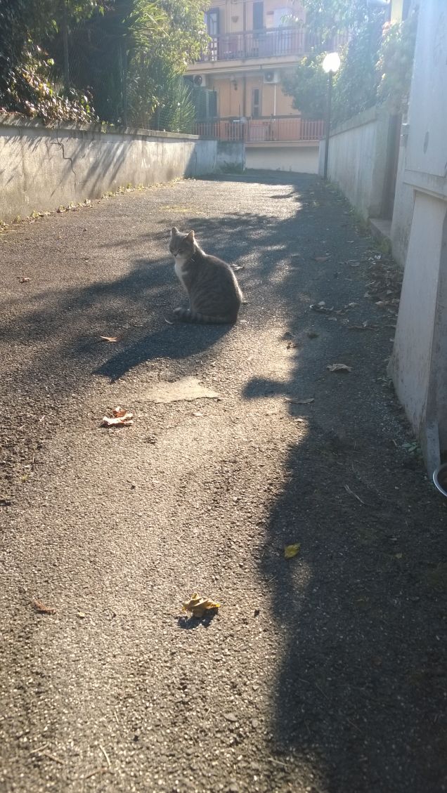 Meglio avere un atteggiamento sereno verso la vita e possedere il senso dell’umorismo che ci salva dal grigiore quotidiano.