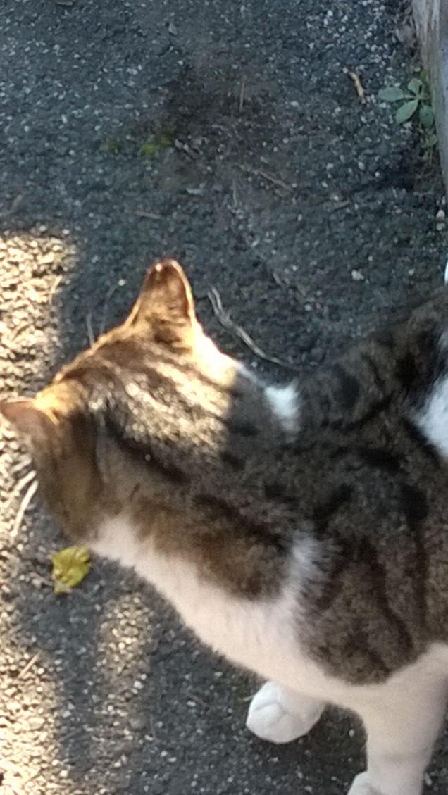 Per toccare un arcobaleno occorre salire le scale di grigi.