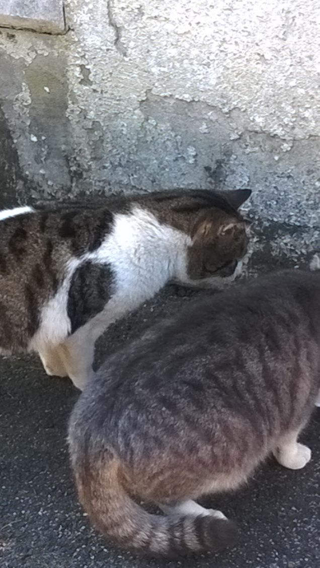 Condividiamo ma non troppo.